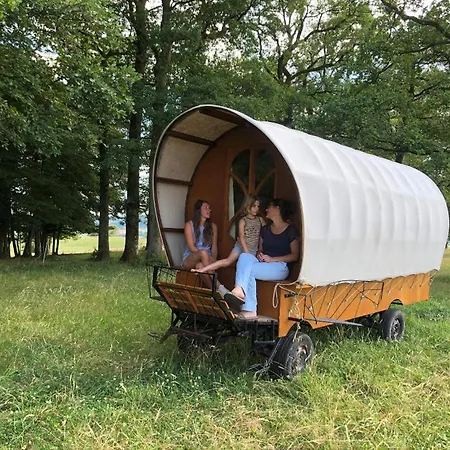 Charriot En Pâture * Touligny