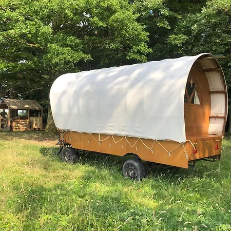 Charriot En Pâture